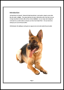Dog Recall Special Report - Example Page 1